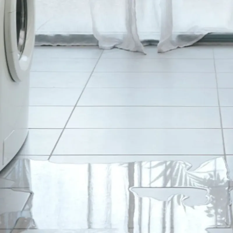 Appliance Leak Cleanup in Willow, AK