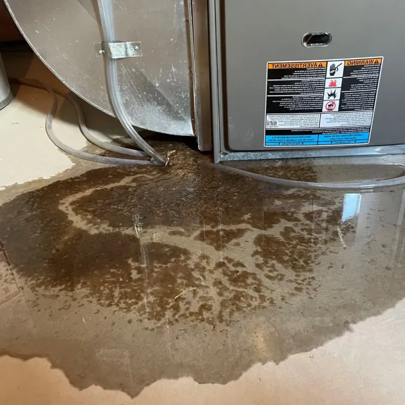 Pipe Burst and Leak Restoration in Willow, AK