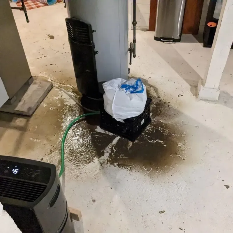 Sewage Backup Cleanup Service in Willow, AK